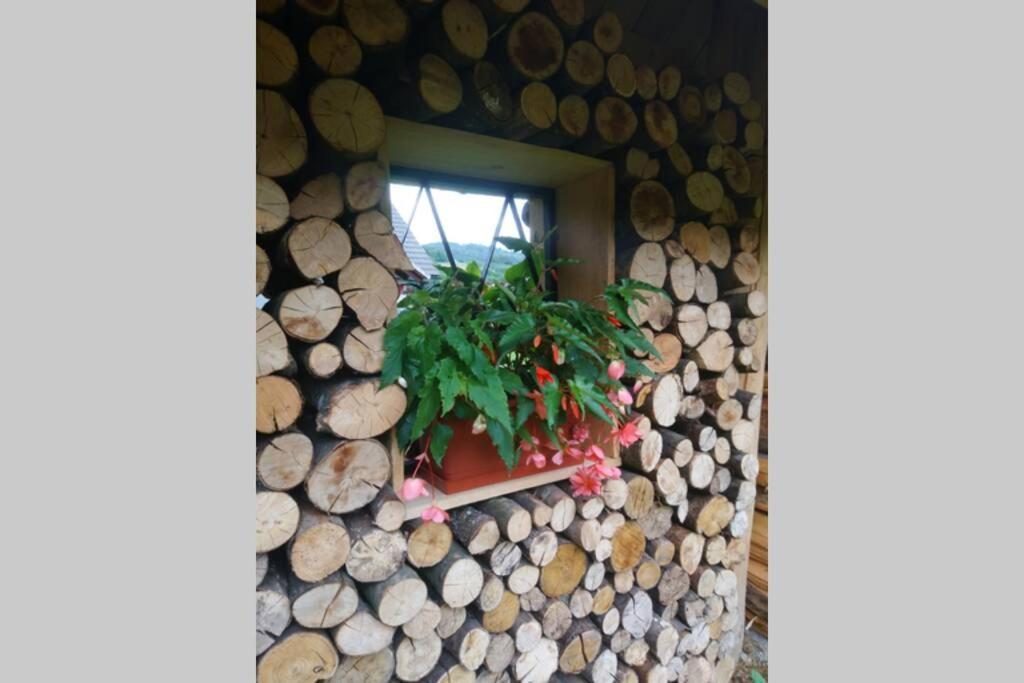 Hut At The Forest Male Brusnice Bagian luar foto