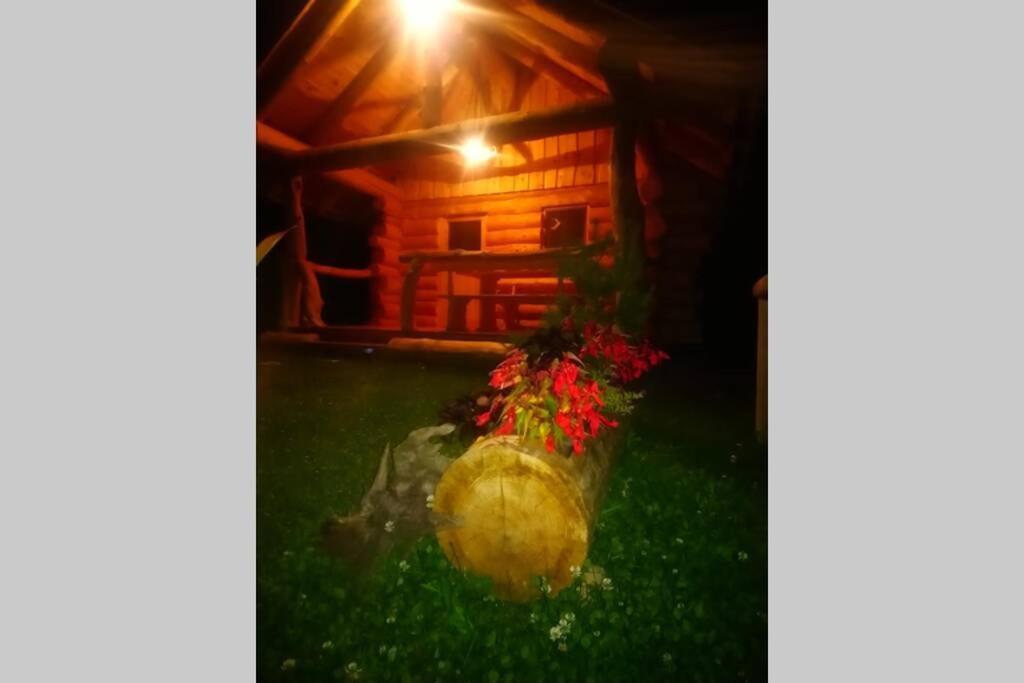 Hut At The Forest Male Brusnice Bagian luar foto