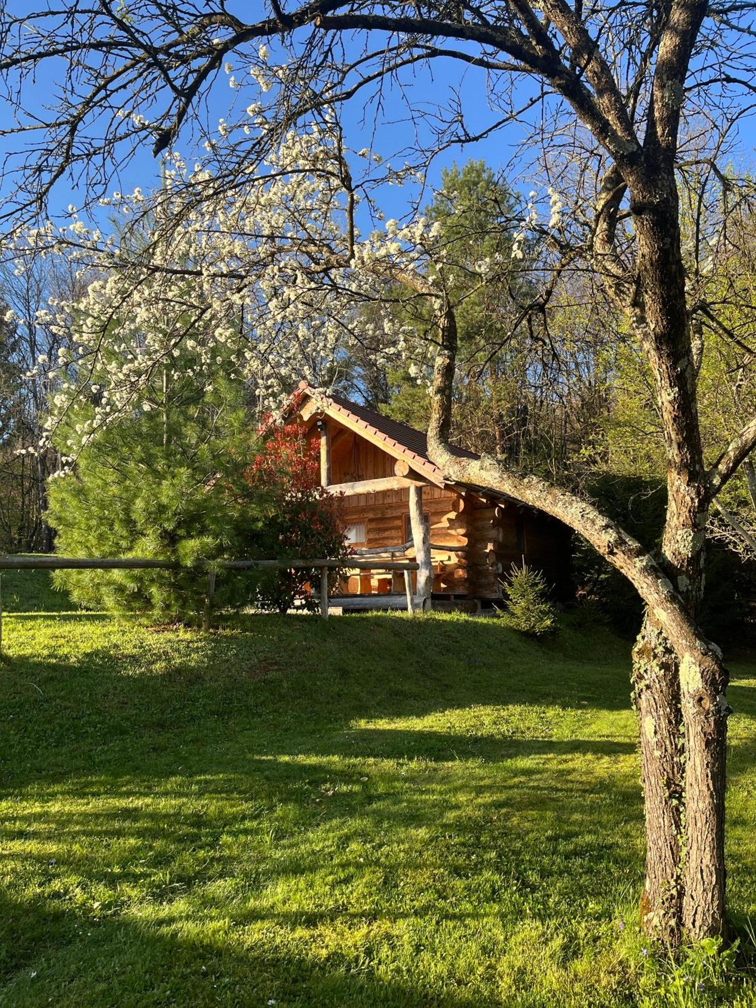Hut At The Forest Male Brusnice Bagian luar foto